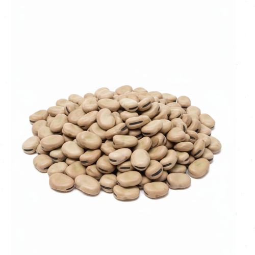 فول بلدي ممتاز 500 جرام - مثالي للتدميس البيتي وعمل الفول النابت