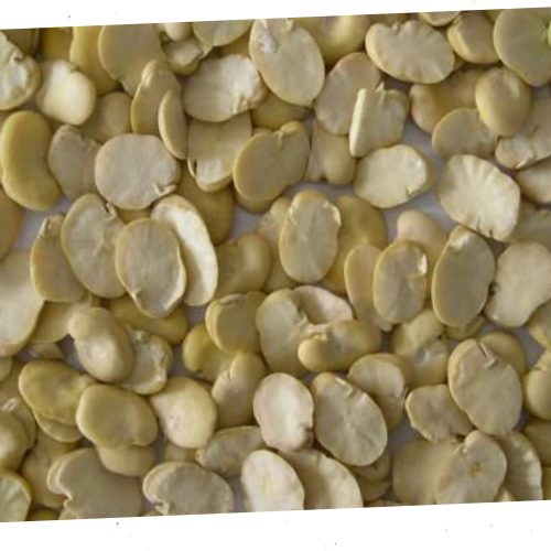 فول مدشوش ممتاز درجة أولى 1 كيلو - لعمل الطعمية البيتي والبصارة 